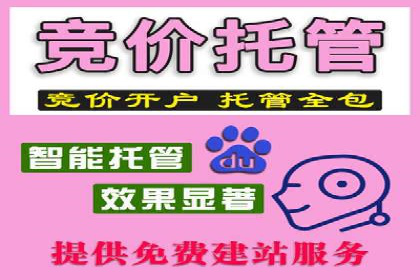 提升转化率：SEM竞价专员的案例研究